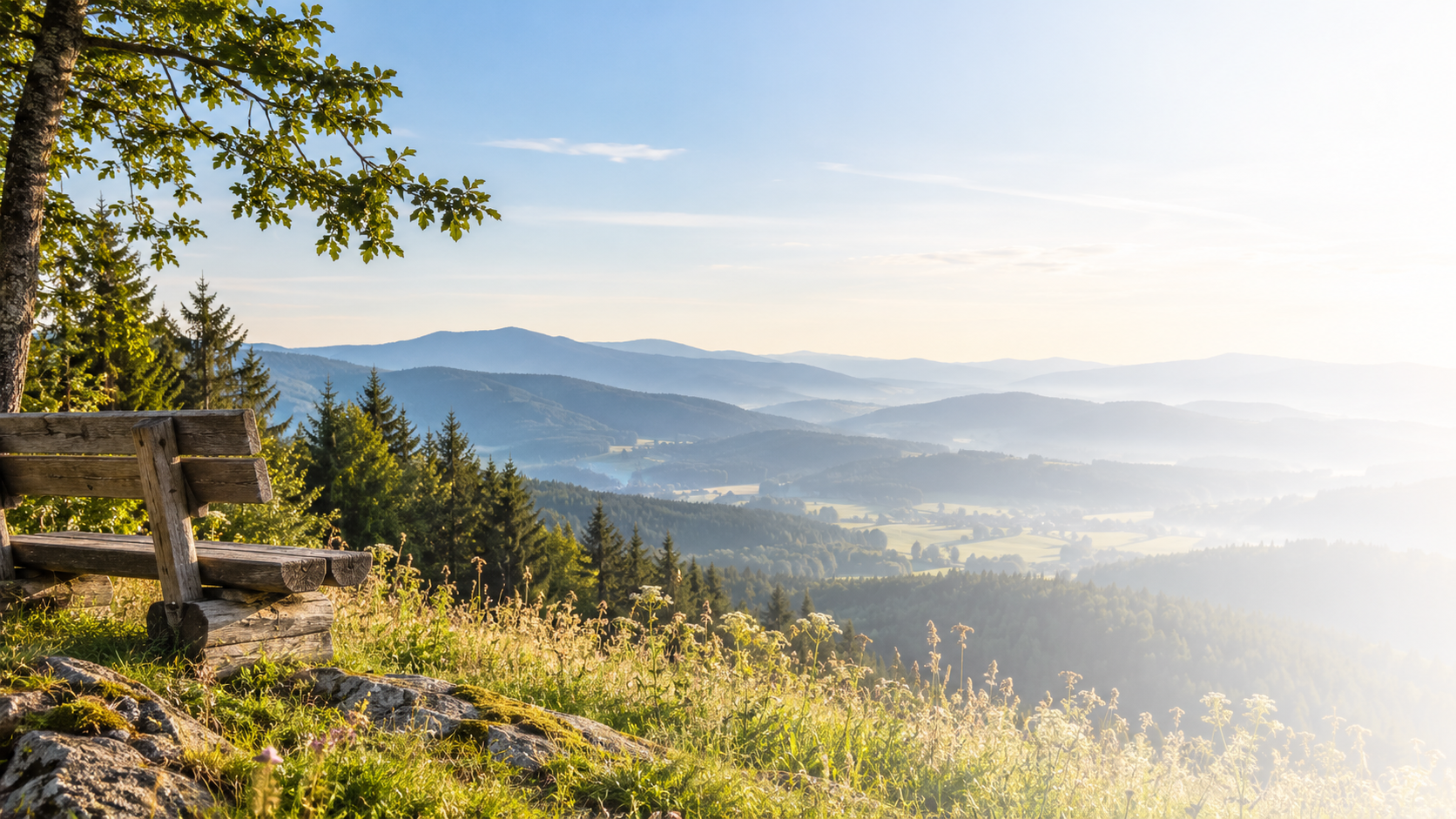 Holzbank mit Blick über die Landschaft des Bayerischen Waldes