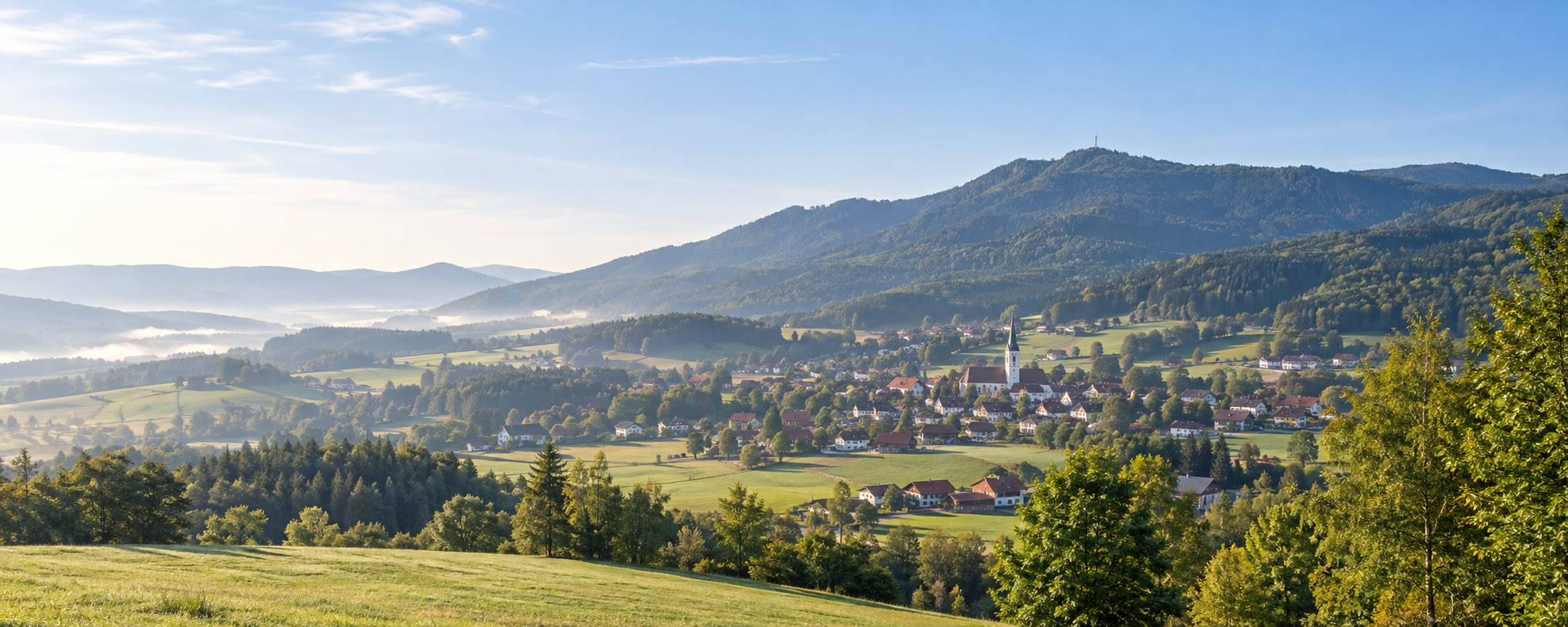 Blick über Neukirchen b. Hl. Blut in den Bayerischen Wald